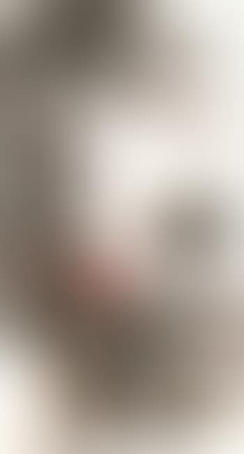 Crane (preview)