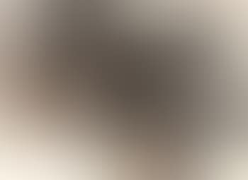 Landscapes (preview)