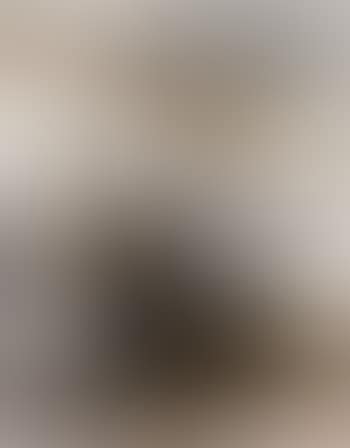 Landscapes (preview)