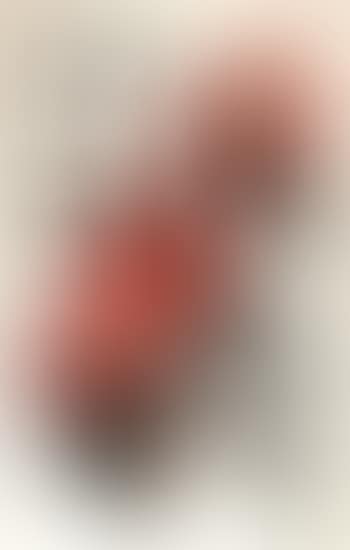 Red camellia (preview)
