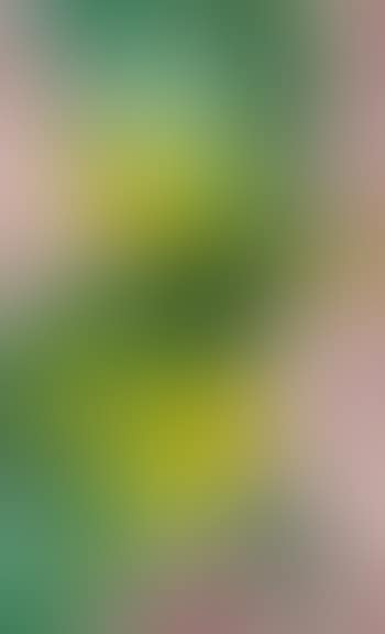 Corn no.III (preview)