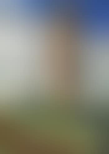 Old skerries windmill (preview)