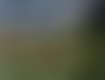 Haystacks in meadow (preview)