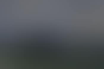 Landscape (preview)