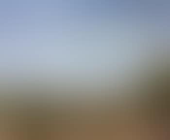 L'aures a Timgad (preview)
