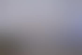 Le port de Honfleur (preview)