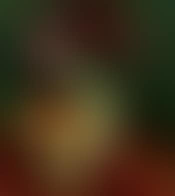 Nature morte avec fleurs et fruits (preview)
