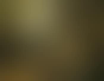 Une serenade (preview)