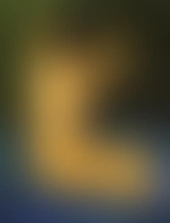Bather (preview)