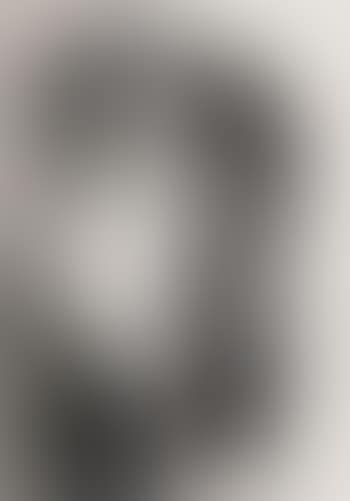 Chopin, composite portrait (preview)