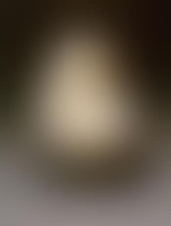 Alabaster form (preview)