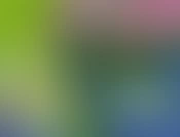 Two parrots and flowers (preview)