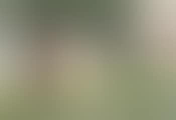 Einde Augustus - End of August (preview)