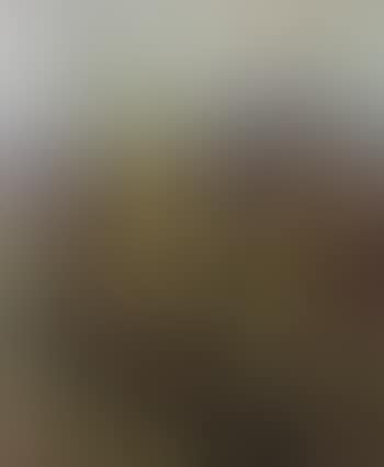 Shrubs (preview)