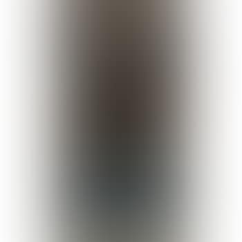Portrait of a lady (preview)