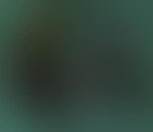Abstract (preview)