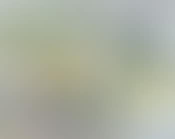 Lines in landscape (preview)