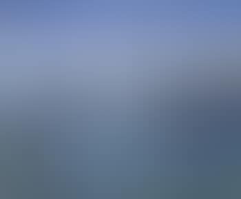 Venice (preview)