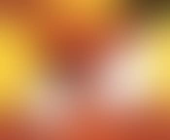 Composition (preview)