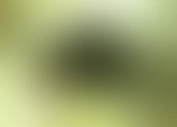 Verdant (preview)