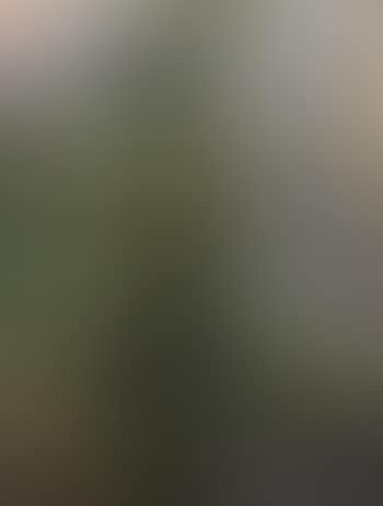 Jardin (preview)
