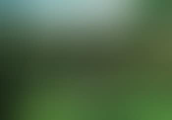 Landscape (preview)