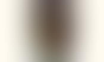Untitled (preview)