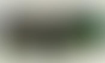 Truite et grenouille (preview)