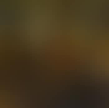 Conversation (preview)