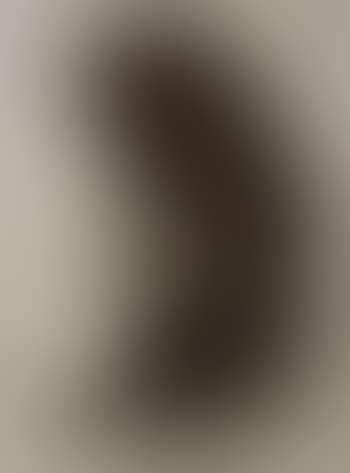 T1959 (preview)