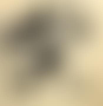 Papier dechire (preview)