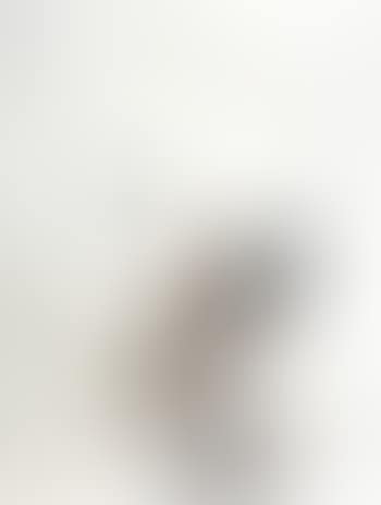 Moulinex no.1 (preview)