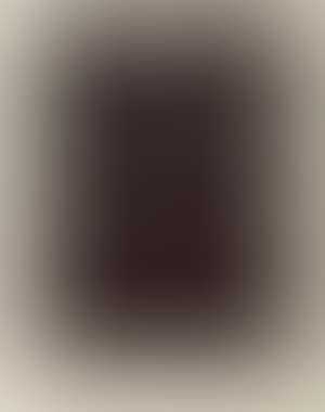 Primavera (preview)