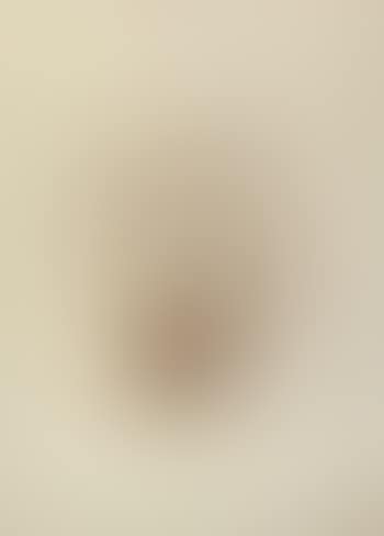 Study for decorative panel (preview)