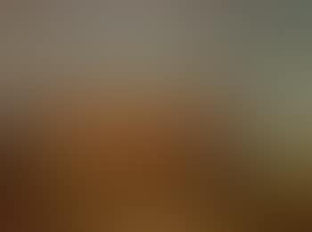 Longhorn cow (preview)