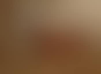 Devon cow (preview)