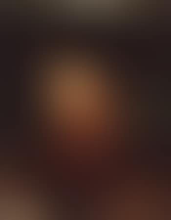 Presumed portrait of Damiao de Gois (preview)