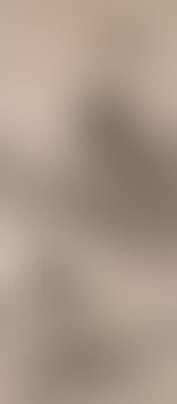 Landscape (preview)