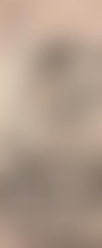 Landscape (preview)