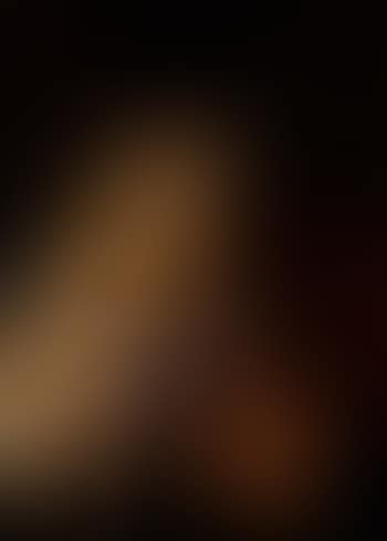 Holy family with saint John the Baptist (preview)