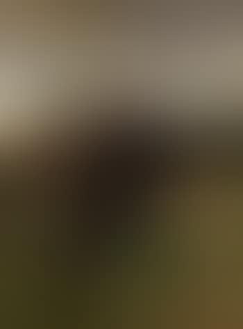 Portrait en pied de Monsieur Charles Joachim Lefevre a Newmarket (preview)