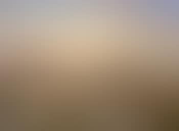 Evening flight, Martham, Norfolk Broads (preview)