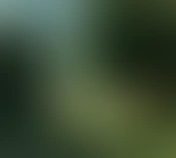 Ladies in garden (preview)