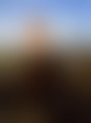 Bergere au puits (preview)