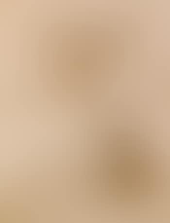 Un arbre dans un paysage (preview)