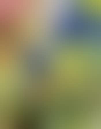 Composition (preview)