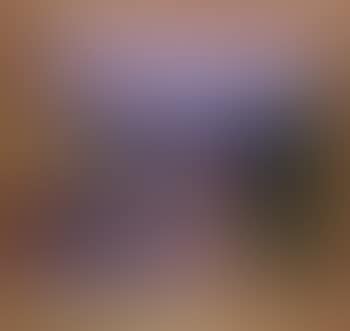 Landscape from Koster fjord (preview)