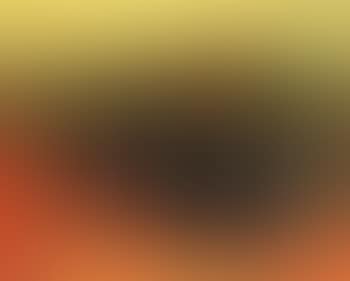 Burning forest (preview)