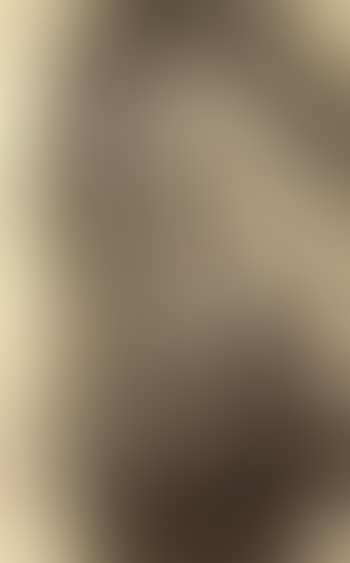 Portrait of an elderly lady (preview)