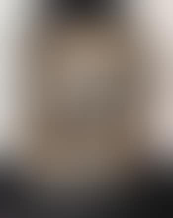 Portrait no.6 (preview)